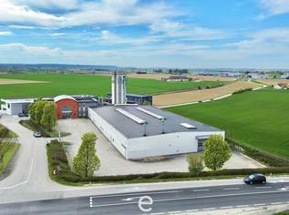 Produktions- und Lagerfläche inkl. Bürostandort zwischen Sattledt und Wels, 0 €, Immobilien-Gewerbeobjekte in 4641 Steinhaus Produktions- und Lagerfläche inkl. Bürostandort zwischen Sattledt und Wels, 0 €, Immobilien-Gewerbeobjekte in 4641 Steinhaus