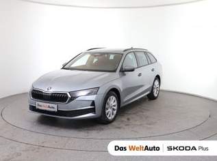 Octavia Selection TDI DSG, 36490 €, Auto & Fahrrad-Autos in 8792 St. Peter-Freienstein Octavia Selection TDI DSG, 36490 €, Auto & Fahrrad-Autos in 8792 St. Peter-Freienstein