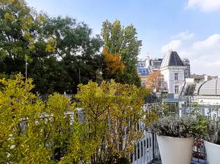 ÜBER DEN DÄCHERN DER STADT - GRANDIOSE DACHGARTENLANDSCHAFT, 895000 €, Immobilien-Wohnungen in 1040 Wieden