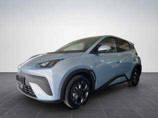 Dolphin SURF Comfort/ACC/LEDER/360°/SHZ/NAV/ ..., 25447 €, Auto & Fahrrad-Autos in 6844 Gemeinde Altach