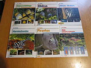 Diskus, Koi, Altum Skalare, Harnischwelse, etc. - Bede Verlag, 5 €, Marktplatz-Bücher & Bildbände in 1100 Favoriten Diskus, Koi, Altum Skalare, Harnischwelse, etc. - Bede Verlag, 5 €, Marktplatz-Bücher & Bildbände in 1100 Favoriten