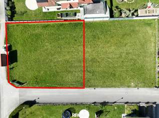 Ebener Baugrund ohne Bauverpflichtung, 59900 €, Immobilien-Grund und Boden in 3372 Katastralgemeinde Blindenmarkt