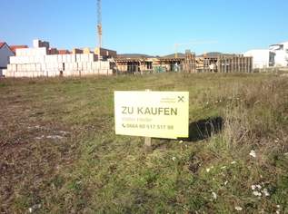 Baugründe in Purbach!, 199500 €, Immobilien-Grund und Boden in 7083 Purbach am Neusiedler See