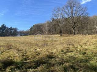 Sehr schönes Grundstück für Selbstversorger oder ....., 74000 €, Immobilien-Grund und Boden in 8384 Minihof-Liebau