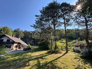 Ein Traum für alle Naturliebhaber!, 785000 €, Immobilien-Häuser in 2822 Brunn an der Pitten Ein Traum für alle Naturliebhaber!, 785000 €, Immobilien-Häuser in 2822 Brunn an der Pitten