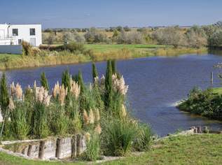 Traumgrundstück mit direktem Seezugang und Weitblick, 290000 €, Immobilien-Grund und Boden in 7063 Oggau am Neusiedler See Traumgrundstück mit direktem Seezugang und Weitblick, 290000 €, Immobilien-Grund und Boden in 7063 Oggau am Neusiedler See