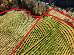 Weingarten in Kranach, Gemeinde Gamlitz zu kaufen ( Zone II ), 440000 €, Immobilien-Gewerbeobjekte in 8462 Gamlitz