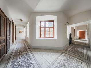 Klassischer Wiener Stilaltbau mit vielfältigen Nutzungsmöglichkeiten, 115000 €, Immobilien-Wohnungen in 1150 Rudolfsheim-Fünfhaus