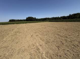 landwirtschaftliche Nutzgründe, 216000 €, Immobilien-Grund und Boden in 5134 Brunn am Gries