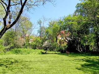Rarität! Unbebauter Baugrund südlich der Klinik Penzing, 1150000 €, Immobilien-Grund und Boden in 1140 Penzing