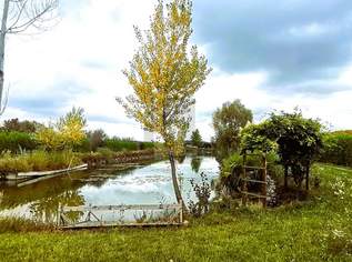 ENTSPANNUNG PUR - FISCHTEICH MIT HÜTTE UND STREUOBSTWIESE, 0 €, Immobilien-Grund und Boden in 7064 Oslip