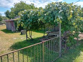 Haus mit großem Baugrundstück in Ungarn nahe der österr. Grenze zu verkaufen 