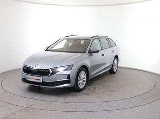 Octavia Selection TDI DSG, 37490 €, Auto & Fahrrad-Autos in 8792 St. Peter-Freienstein