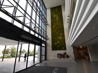 Kantine / Cafeteria - IKANO 197,26qm, 2186.15 €, Immobilien-Gewerbeobjekte in 2351 Gemeinde Wiener Neudorf