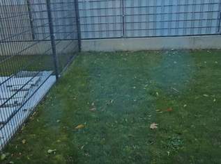 3 Zimmer Garten Wohnung  ink. Heizung und Warmwasser plus Parkplatz 