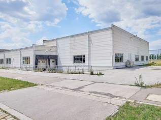 Halle mit 700qm Nutzfläche und 150qm Nebenräume in 1210 Wien – ideal für Lager, Produktion und Logistik, 11600 €, Immobilien-Gewerbeobjekte in 1210 Floridsdorf