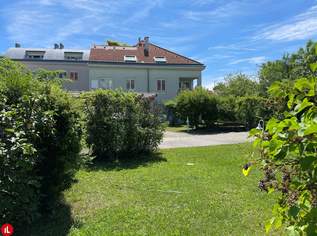 Hochwertige Bürofläche in gefragter Lage, 725.1 €, Immobilien-Gewerbeobjekte in 2320 Schwechat Hochwertige Bürofläche in gefragter Lage, 725.1 €, Immobilien-Gewerbeobjekte in 2320 Schwechat