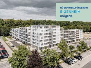 2 Zimmer mit 50m² großer Terrasse!, 220900 €, Immobilien-Wohnungen in 3100 Stattersdorf 2 Zimmer mit 50m² großer Terrasse!, 220900 €, Immobilien-Wohnungen in 3100 Stattersdorf