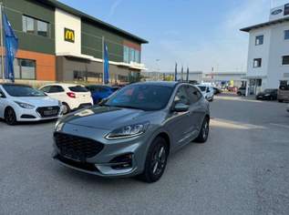 Kuga Hybrid ST-Line X FHEV AWD Autom., 35490 €, Auto & Fahrrad-Autos in 7000 