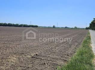 Landwirtschaftliche Fläche in strategisch interessanter Lage der Airport Region – 5,18 ha, 1555350 €, Immobilien-Grund und Boden in 2433 Margarethen am Moos