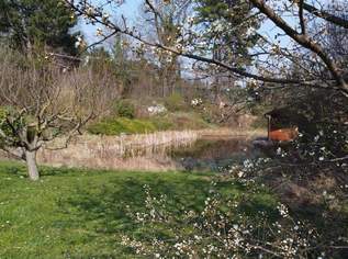 "Exklusives Refugium mit Biotop & 3.000 qm Gartenparadies!", 1890000 €, Immobilien-Häuser in 2344 Gemeinde Maria Enzersdorf