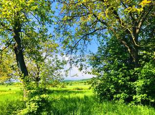 Baugrund 2 in Höhenlage am Naturschutzgebiet , 164000 €, Immobilien-Grund und Boden in 7091 Gemeinde Breitenbrunn Baugrund 2 in Höhenlage am Naturschutzgebiet , 164000 €, Immobilien-Grund und Boden in 7091 Gemeinde Breitenbrunn