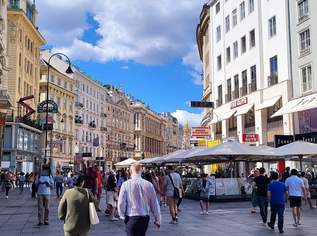 DIE Boutique am Graben, 34100 €, Immobilien-Gewerbeobjekte in 1010 Innere Stadt