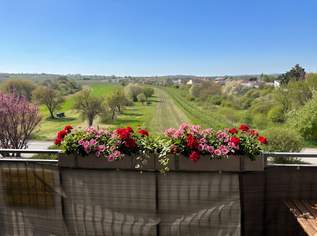 Großzügige Familienwohnung mit Tiefgarage in der Storchenstadt Rust am See, 295000 €, Immobilien-Wohnungen in 7071 Rust