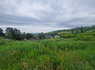 TRAUMGRUNDSTÜCK GESUCHT? AUSSERGEWÖHNLICHE, RUHIGE, ERHÖHTE WOHNLAGE IN LEOBENDORF, 411380 €, Immobilien-Grund und Boden in Niederösterreich TRAUMGRUNDSTÜCK GESUCHT? AUSSERGEWÖHNLICHE, RUHIGE, ERHÖHTE WOHNLAGE IN LEOBENDORF, 411380 €, Immobilien-Grund und Boden in Niederösterreich