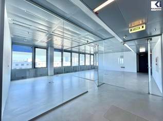 360 TOUR // BÜROFLÄCHE im ARES TOWER, 29080.46 €, Immobilien-Gewerbeobjekte in 1220 Donaustadt