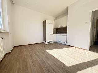 1-Zimmer-Wohnung in Linz – gemütlich & zentral, 521.9 €, Immobilien-Wohnungen in Oberösterreich