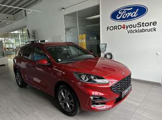 Kuga 2,5 Duratec PHEV ST-Line X Aut., 25990 €, Auto & Fahrrad-Autos in 4840 Vöcklabruck Kuga 2,5 Duratec PHEV ST-Line X Aut., 25990 €, Auto & Fahrrad-Autos in 4840 Vöcklabruck