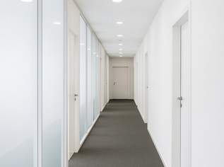 Erstbezug! Renoviertes 6-Zimmer Büro in Toplage, 4842.92 €, Immobilien-Gewerbeobjekte in 1010 Innere Stadt