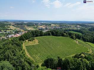 IHRE EIGENEN CHALETS! TRAUMHAFTES GRUNDSTÜCK AN DER SÜDSTEIRISCHEN WEINSTRASSE! Ein Ausblick der Ihnen die Sprache verschlagen wird - im schönsten Teil der grünen Steiermark., 1400000 €, Immobilien-Grund und Boden in 8462 Eckberg