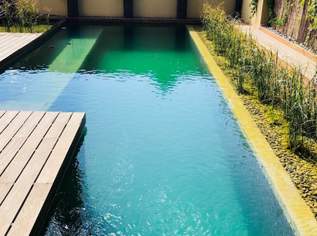 Stadtvilla mit Naturpool im Zentrum Klosterneuburg I Rundumfernblick Stift Klosterneuburg u. Kahlenberg, 1690000 €, Immobilien-Häuser in 3400 Gemeinde Klosterneuburg