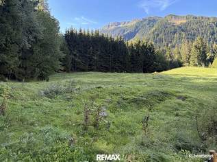 Zwei Freilandflächen mit vielseitiger landwirtschaftlicher Nutzung in Sautens!, 89000 €, Immobilien-Grund und Boden in 6432 Gemeinde Sautens Zwei Freilandflächen mit vielseitiger landwirtschaftlicher Nutzung in Sautens!, 89000 €, Immobilien-Grund und Boden in 6432 Gemeinde Sautens