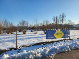 Baugrundstück Wels-Ost Ginzkeystraße, 2794425 €, Immobilien-Gewerbeobjekte in 4600 Wels Baugrundstück Wels-Ost Ginzkeystraße, 2794425 €, Immobilien-Gewerbeobjekte in 4600 Wels