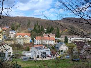 Zentrumsnahes Reihenhaus mit viel Platz zum Leben und Arbeiten