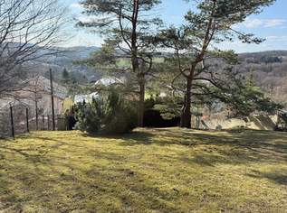 „Wienerwald-Baugrund mit Weitblick – 993 m² sonnige Hanglage in Breitenfurt“, 429000 €, Immobilien-Grund und Boden in 2384 Breitenfurt