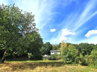 "NEUER PREIS" - CHARMANTE LIEGENSCHAFT AM WALDFRAND FÜR NATURLIEBHABER BZW. MEHRERE GENERATIONEN, 548000 €, Immobilien-Häuser in 3052 Innermanzing "NEUER PREIS" - CHARMANTE LIEGENSCHAFT AM WALDFRAND FÜR NATURLIEBHABER BZW. MEHRERE GENERATIONEN, 548000 €, Immobilien-Häuser in 3052 Innermanzing