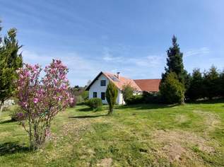 Wunderschöne Liegenschaft, 480000 €, Immobilien-Häuser in 8380 Jennersdorf Wunderschöne Liegenschaft, 480000 €, Immobilien-Häuser in 8380 Jennersdorf