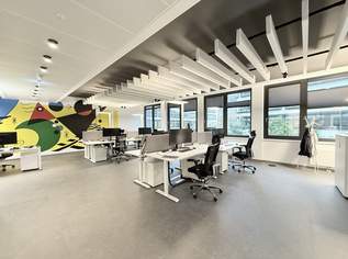 AUSTRIA CAMPUS UNTERMIETE 4 Jahre! Exklusive Bürofläche in 1020 zu vermieten!, 7283.65 €, Immobilien-Gewerbeobjekte in 1020 Leopoldstadt AUSTRIA CAMPUS UNTERMIETE 4 Jahre! Exklusive Bürofläche in 1020 zu vermieten!, 7283.65 €, Immobilien-Gewerbeobjekte in 1020 Leopoldstadt