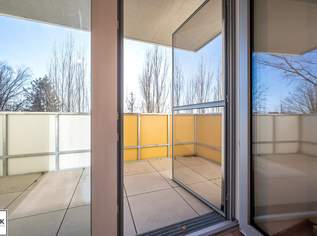 3 Zimmer Wohnung mit Südbalkon - hell, freundlich, gut geschnitten! Miete inkl. 2 KFZ-Stellplätzen!, 1111.17 €, Immobilien-Wohnungen in 7000 Eisenstadt