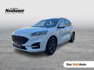 Kuga 2,0 EcoBlue AWD ST-Line Aut., 28990 €, Auto & Fahrrad-Autos in 8750 Judenburg