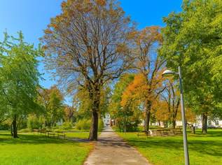 Leistbare 2 Zimmer Eigentumswohnung in Wien-Liesing mit starker Infrastruktur, 209000 €, Immobilien-Wohnungen in 1230 Liesing