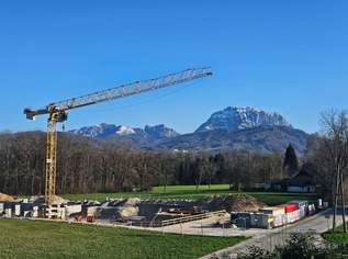 Provisionsfrei! Neubauprojekt Holzhäuseln: leistbare Wohnungen in Waldrandlage mit Traunsteinblick, 249400 €, Immobilien-Wohnungen in 4694 Ohlsdorf