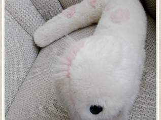 Sammlerstück, Rarität, Wiener Werkstätte Hinterreither Handpuppe Wurm, FIXPREIS 120€/NUR SELBSTABHOLUNG,23 Bez. KEIN Versand!!!!!!! 