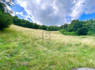TRAUMHAFTES GRÜNLAND, 110000 €, Immobilien-Grund und Boden in 3400 Gemeinde Klosterneuburg
