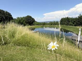 Loftwohnung mit Garten, Terrasse und Schwimmteich : naturnah und außergewöhnlich., 322000 €, Immobilien-Wohnungen in 4612 Roithen Loftwohnung mit Garten, Terrasse und Schwimmteich : naturnah und außergewöhnlich., 322000 €, Immobilien-Wohnungen in 4612 Roithen