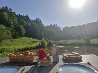 Pachtfläche in Ruhelage mit Gartenhäuschen und Teich, 350 €, Immobilien-Gewerbeobjekte in 8323 St. Marein bei Graz
